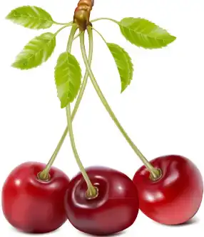 acerola cherry