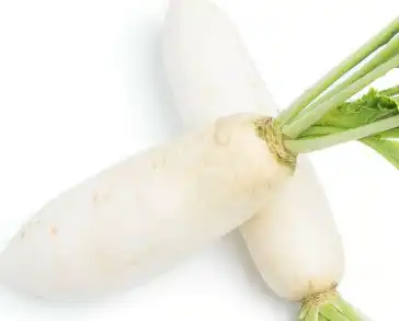 radish