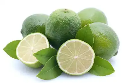 Citrus aurantium L Citrus aurantium L