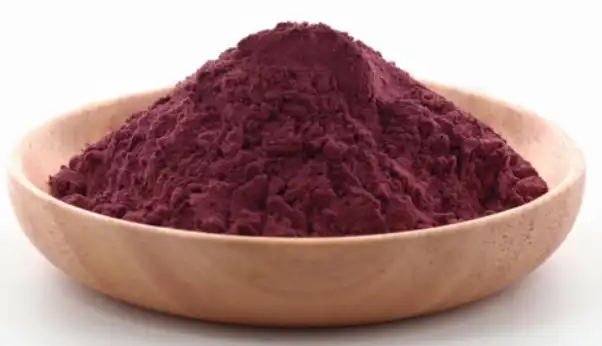 black elderberry extract powder