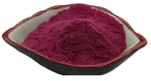 black elderberry extract powder