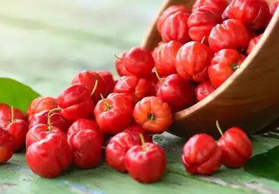 acerola cherry