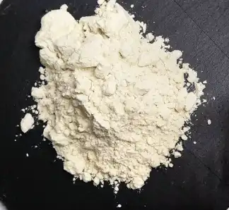 camellia seed extract powder