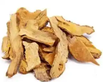 polygonum cuspidatum