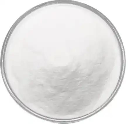 polygonum cuspidatum extract powder