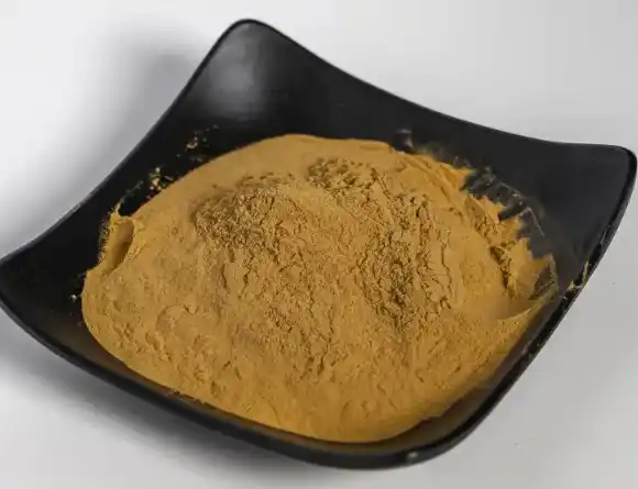 hamamelis virginiana extract