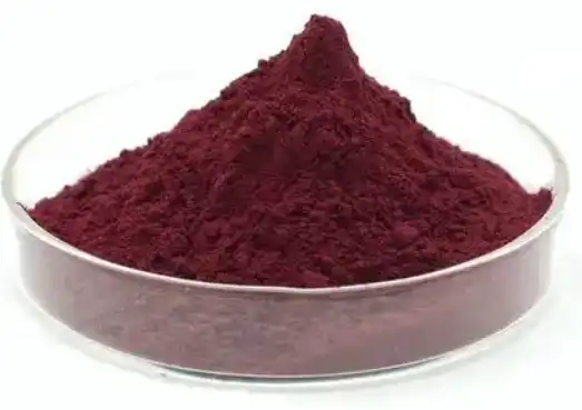 black elderberry extract powder