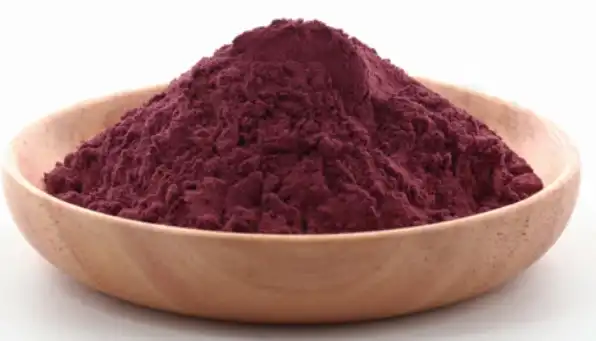 black elderberry extract powder black elderberry extract powder