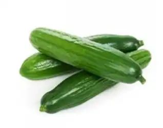 cucumis sativus cucumis sativus