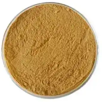 cucumis sativus fruit extract