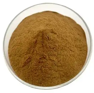 ivy leaf extract ivy leaf extract