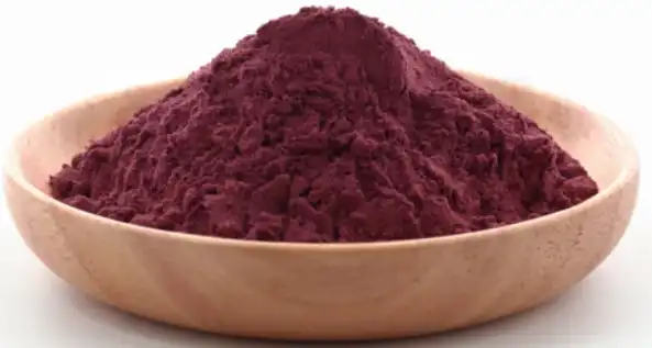 black elderberry extract powder black elderberry extract powder
