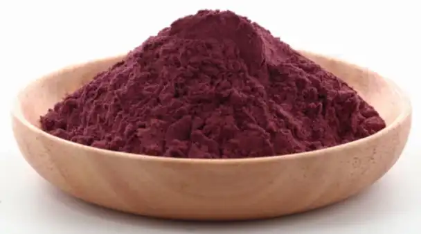 black elderberry extract powder black elderberry extract powder
