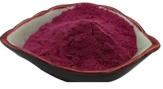 black elderberry extract powder