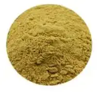 notoginsenoside powder