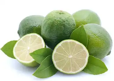 citrus aurantium l citrus aurantium l