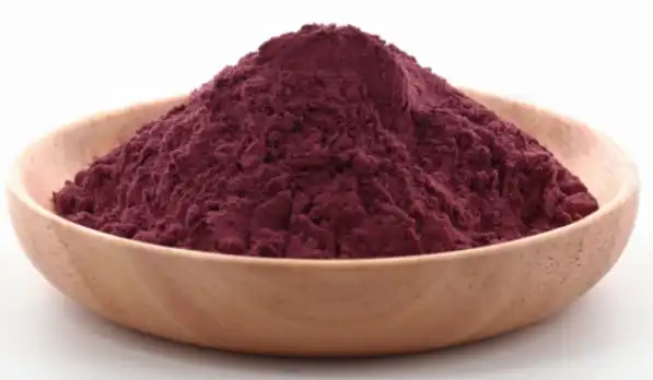 black elderberry extract powder black elderberry extract powder