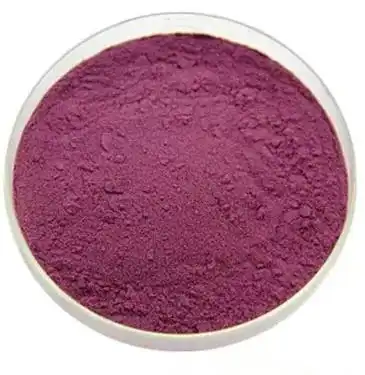 black elderberry extract powder