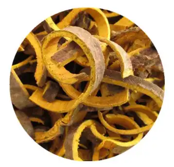 Phellodendron amurense Rupr Phellodendron amurense Rupr