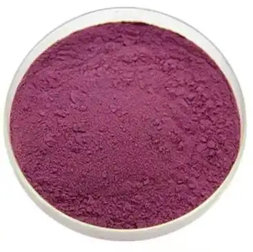 black elderberry extract powder