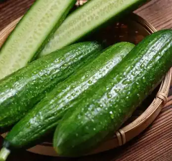 cucumis sativus fruit
