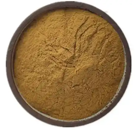 cucumis sativus fruit extract