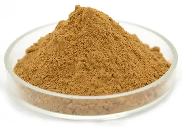 cucumis sativus fruit extract