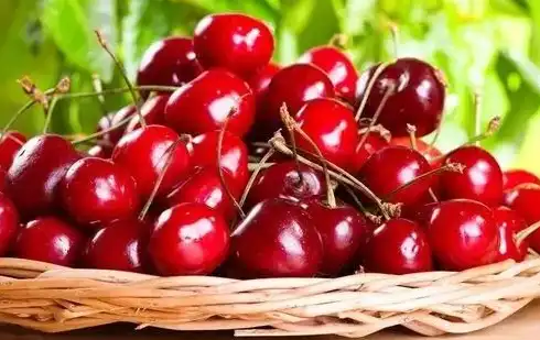 acerola cherry acerola cherry