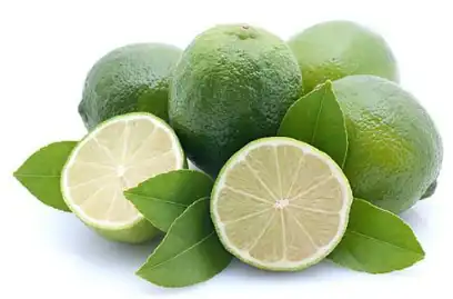 citrus aurantium l citrus aurantium l