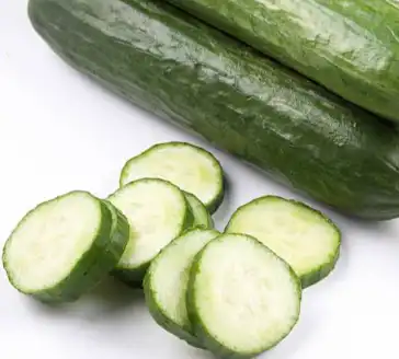 cucumis sativus