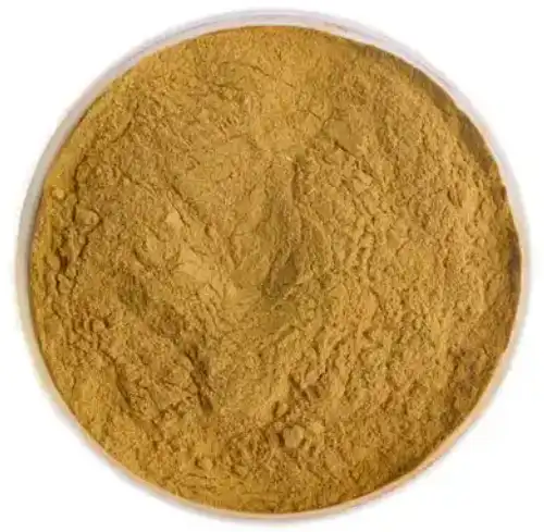 cucumis sativus fruit extract