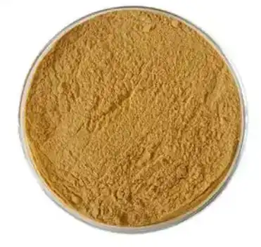 cucumis sativus fruit extract