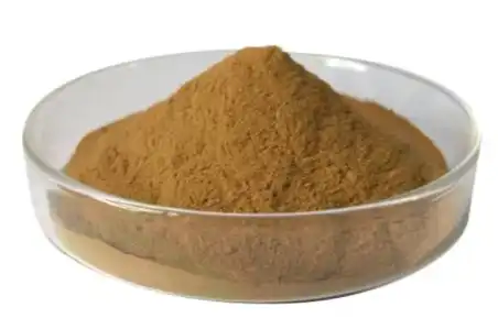 dandelion root extract powder