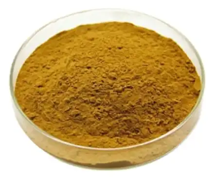 ivy leaf extract ivy leaf extract