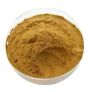 ivy leaf extract