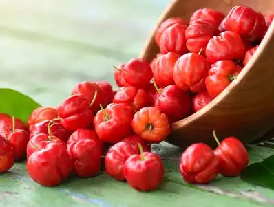 acerola cherry fruit