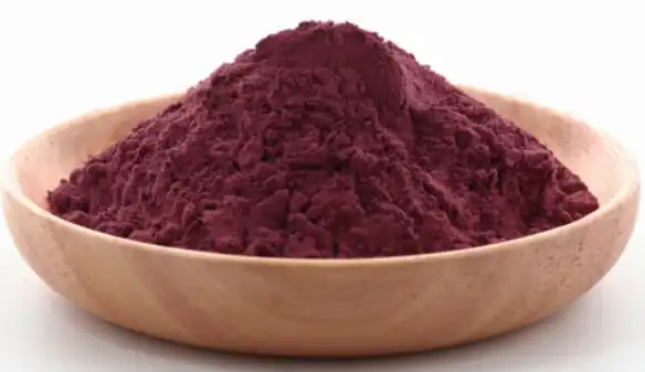elderberry extract anthocyanin