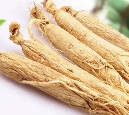 ginseng