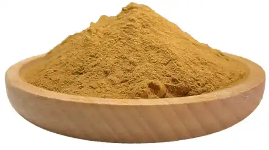 dandelion root extract powder