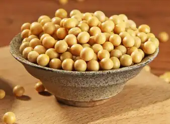 soybean soybean
