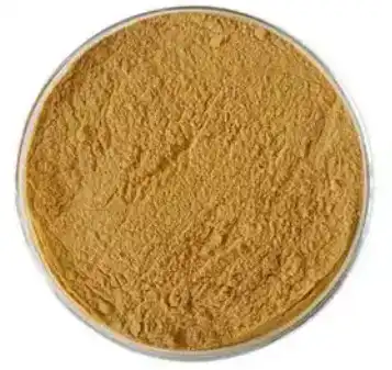 ivy leaf extract