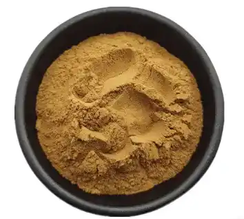 dandelion root extract powder