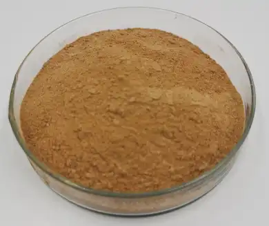 mulberry leaf extract powder mulberry leaf extract powder
