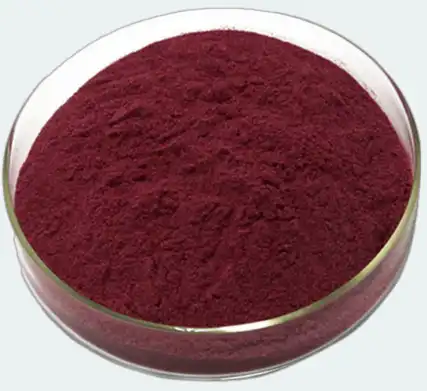 black elderberry extract powder black elderberry extract powder