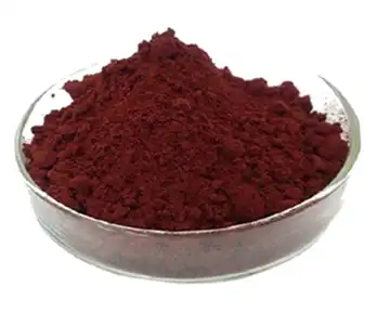 black elderberry extract powder