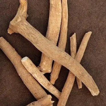 withania somnifera withania somnifera
