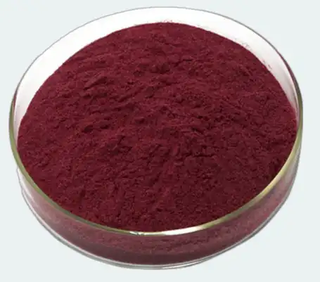 elderberry extract anthocyanin elderberry extract anthocyanin