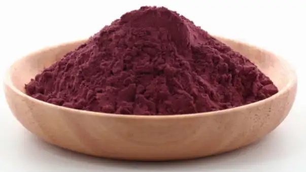 elderberry extract anthocyanin
