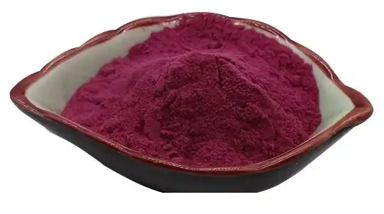 black elderberry extract powder black elderberry extract powder