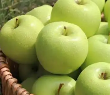 apple